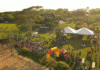 2ª Corrida do Balneário de Porto Mendes será realizada em setembro